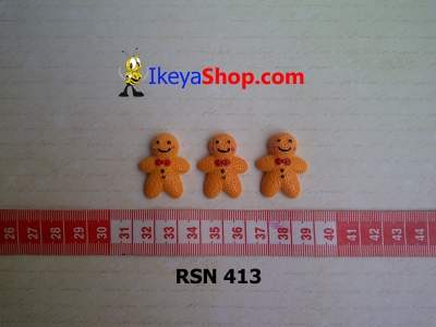 rsn 413  large2